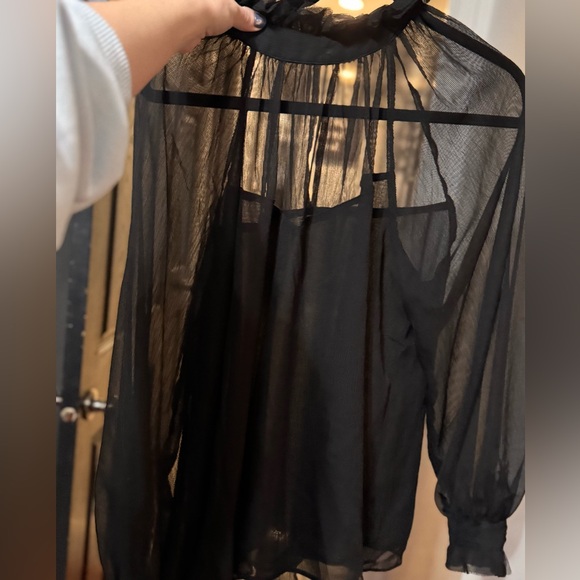 Blu Pepper Sheer Black Blouse - Picture 3 of 6